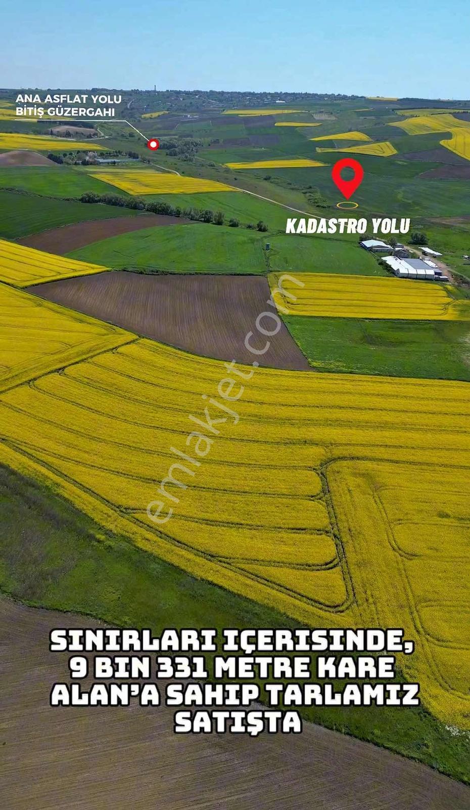 Marmaraereğlisi Çeşmelide 9.331 M² Yatırımlık Tek Tapu - Görsel 5
