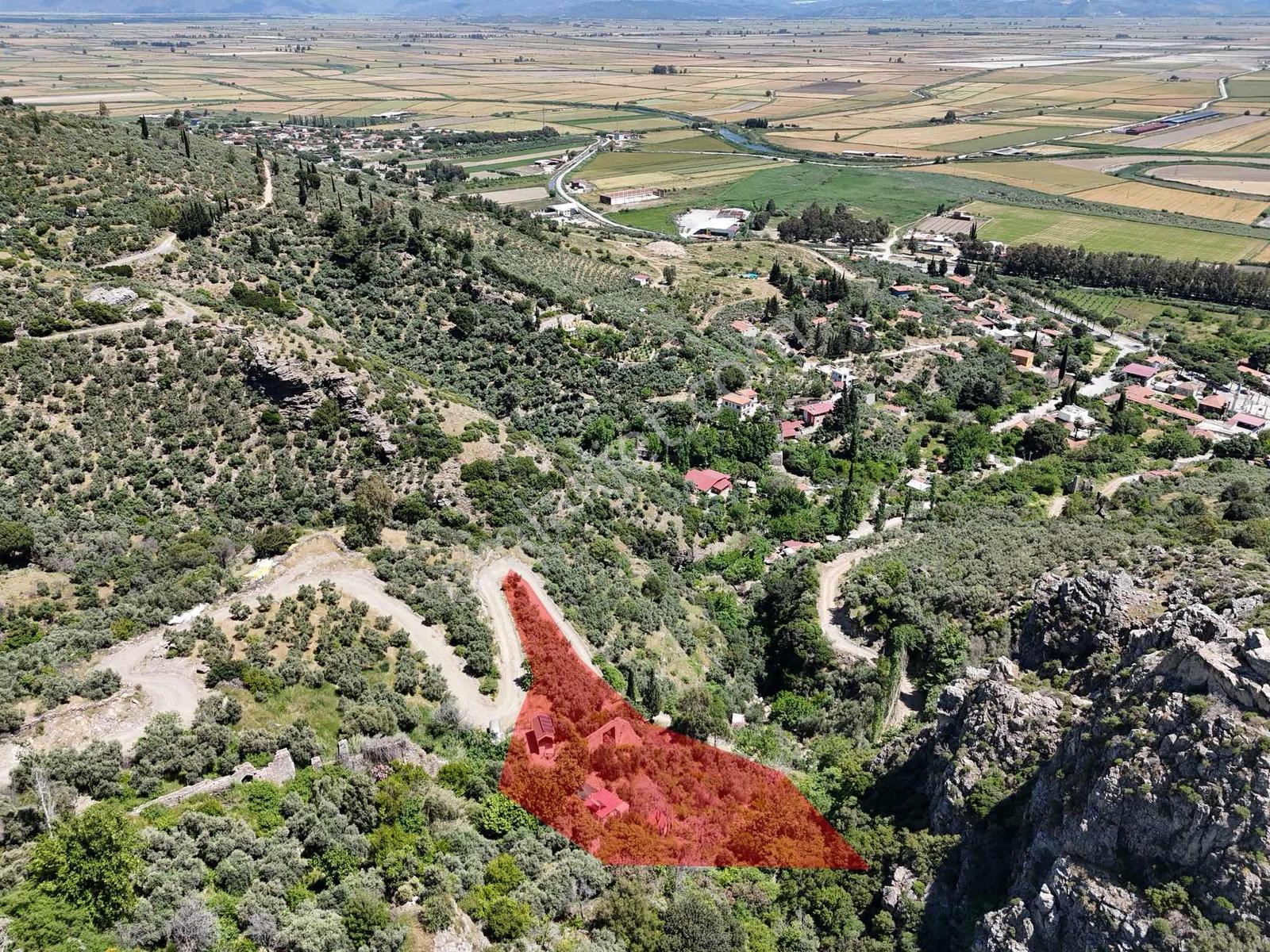 Güllübahçe Mevkii Satılık Zeytinlik-değirmen Ve Harımı - Görsel 15