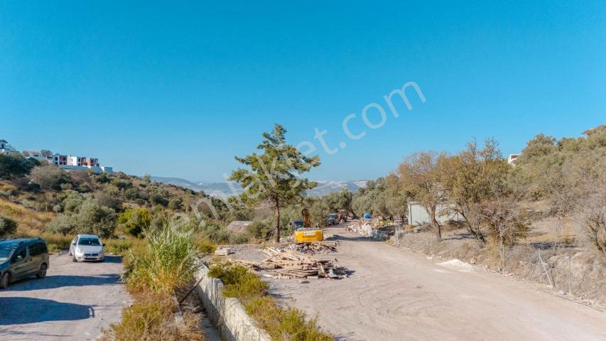 Milas Dörttepe Sığırtmaç Mevkii 288 M2 Arsa - Görsel 8