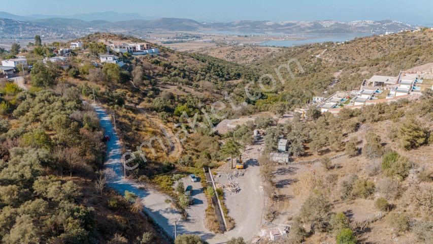 Milas Dörttepe Sığırtmaç Mevkii 288 M2 Arsa - Görsel 7