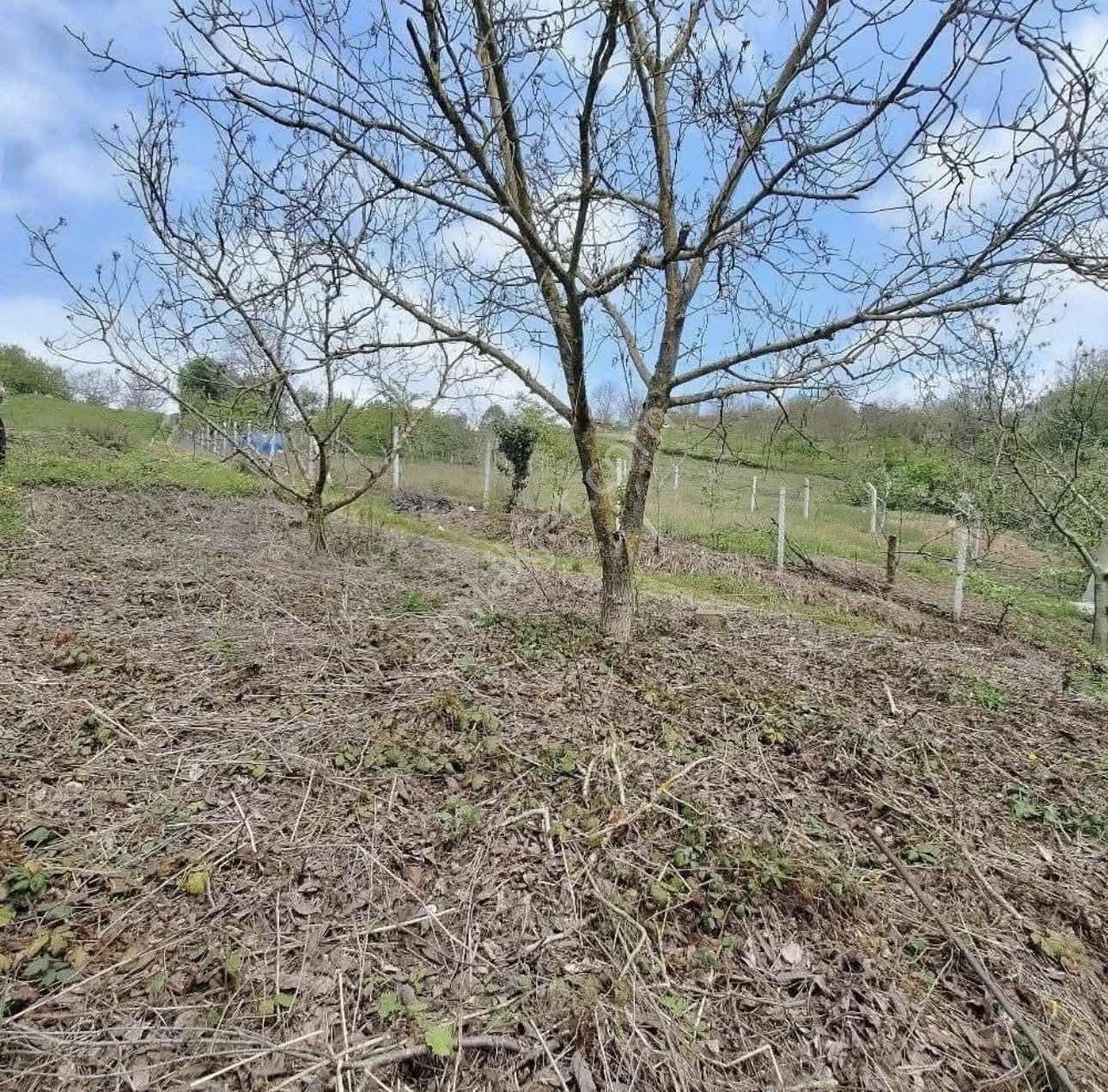 Orhangazi Mahmudiye 78 M2 Bahçe
