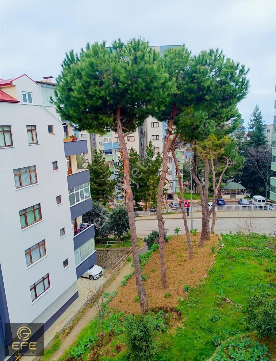 Efe Gayrimenkulden Erdoğduda Satılık Fırsat 2+1 Daire - Görsel 7