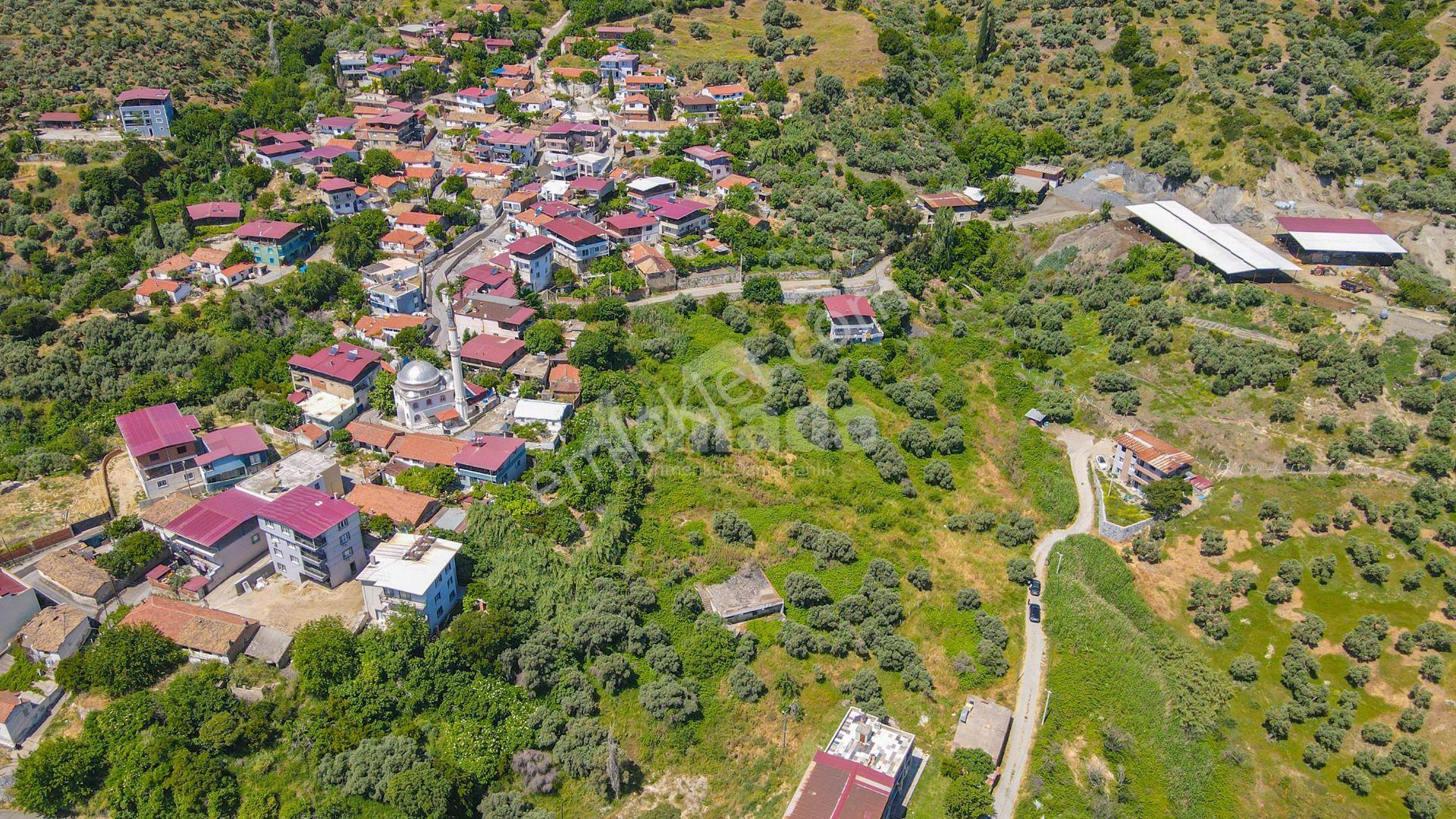Söke Özbey-yeniköy'de İmarlı Satılık Bahçe - Görsel 4
