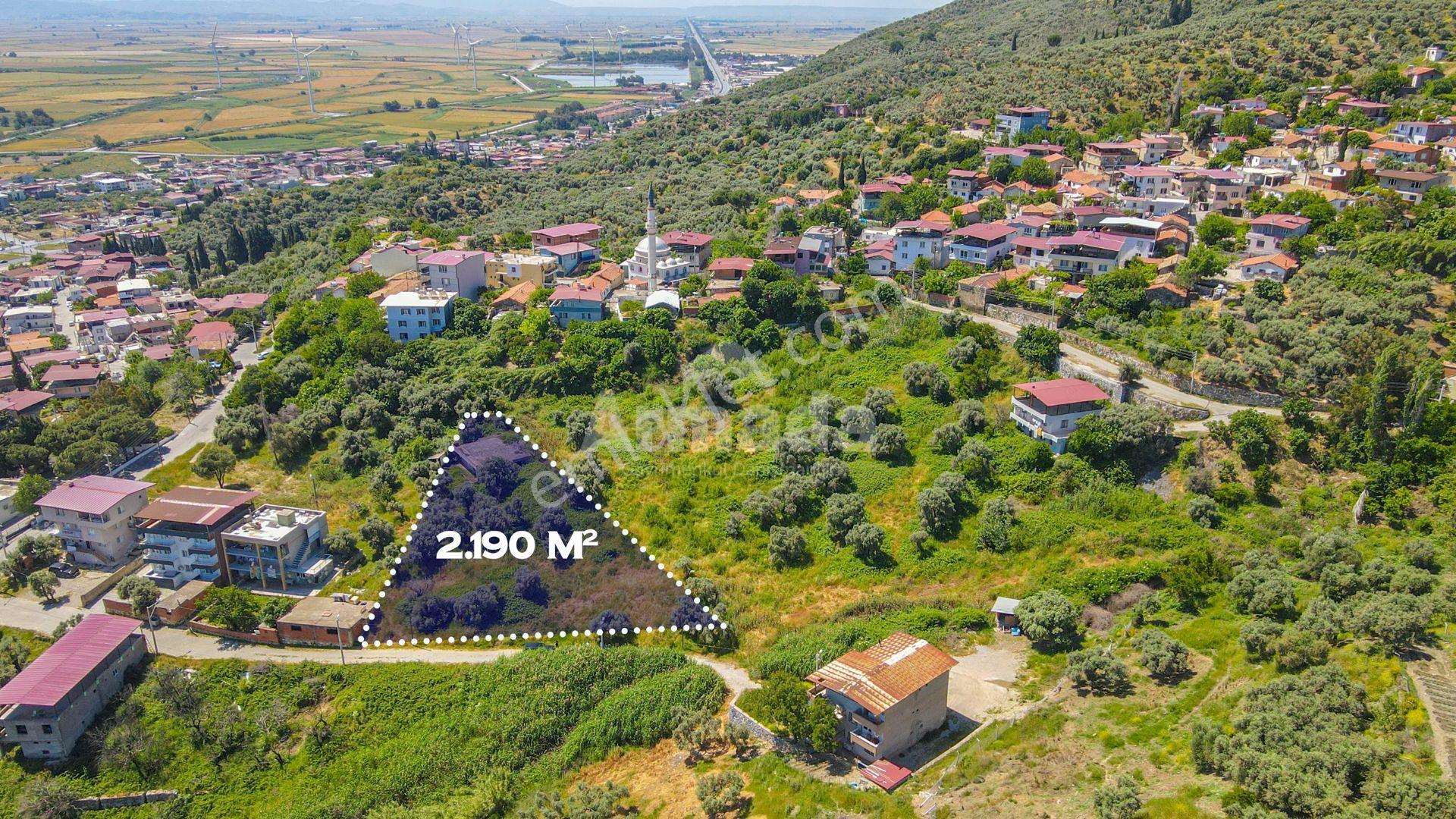 Söke Özbey-yeniköy'de İmarlı Satılık Bahçe