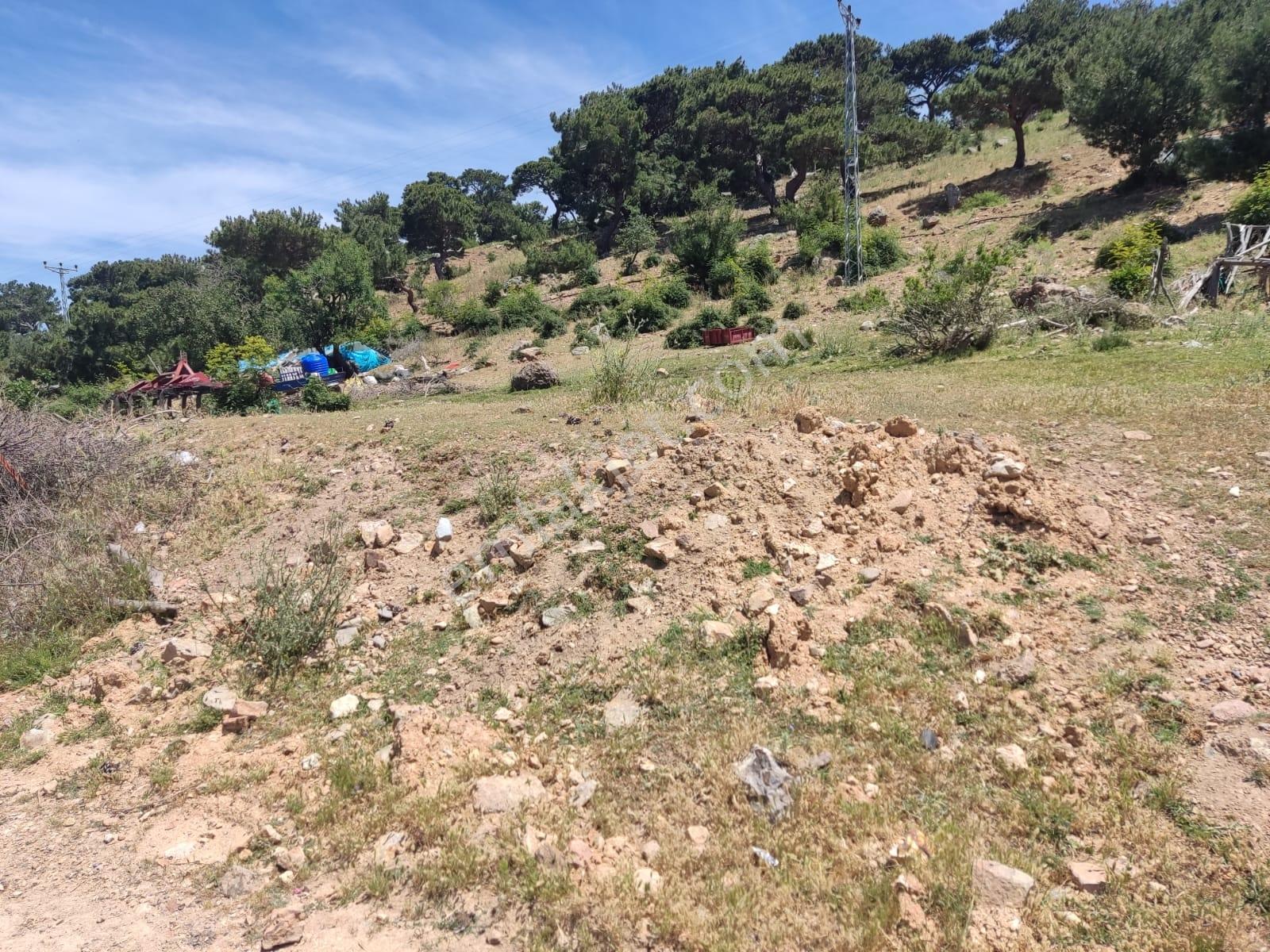 Rw Nefes'ten Burhaniye Sübeylidere'de 420 Metrekare İmarlı Arsa - Görsel 23