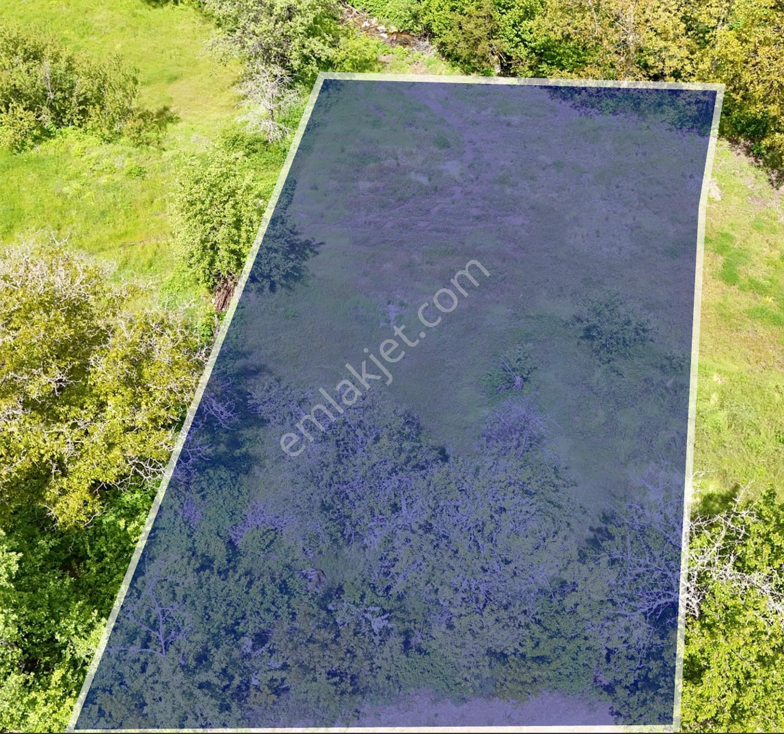 Balıkesir Bigadiç 367 M2 Yola Cephe Dere Yanı Düz Erik Bahçesi - Görsel 7