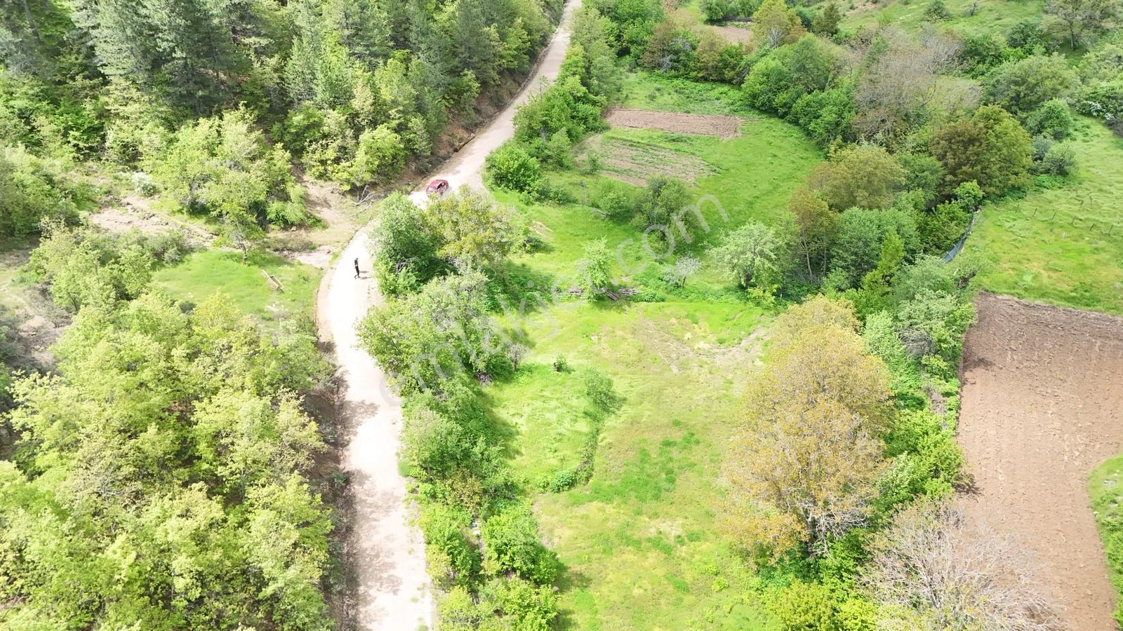 Balıkesir Bigadiç 367 M2 Yola Cephe Dere Yanı Düz Erik Bahçesi - Görsel 10