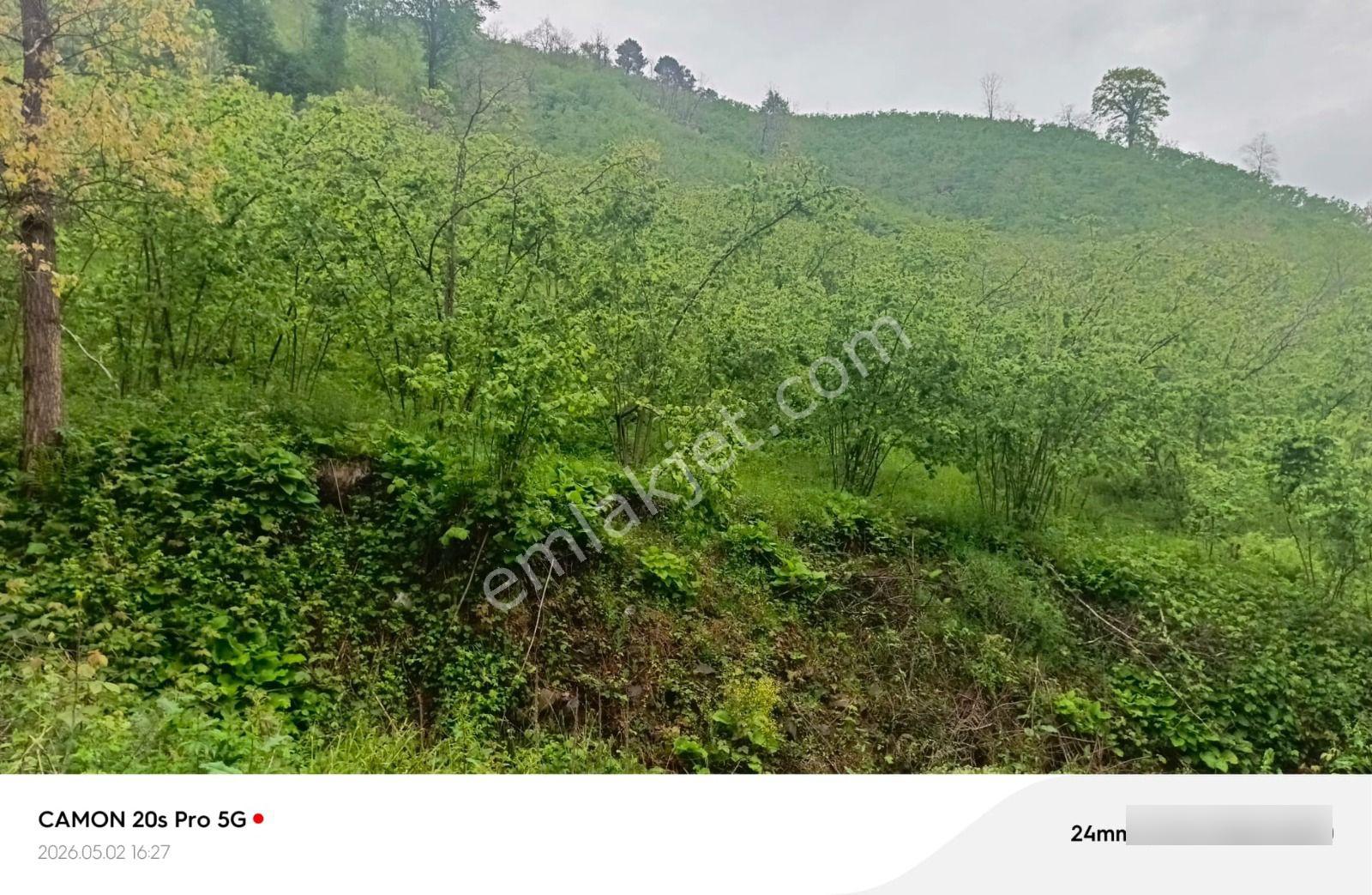 Bazı Yerler Sadece Arazi Değildir, Geleceğe Yapılan Yatırımdır - Görsel 12