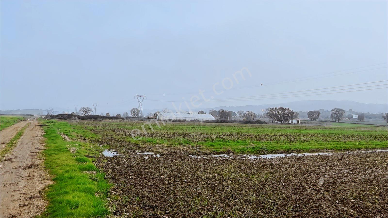 Gökçeyazı Da Kadastro Yolu Mevcut Tarla - Görsel 8