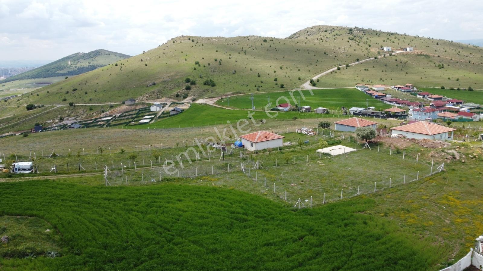 **-tatlar Da Manzaraya Hakim Olmak İsteyene Full Manzaralı-*-* - Görsel 15
