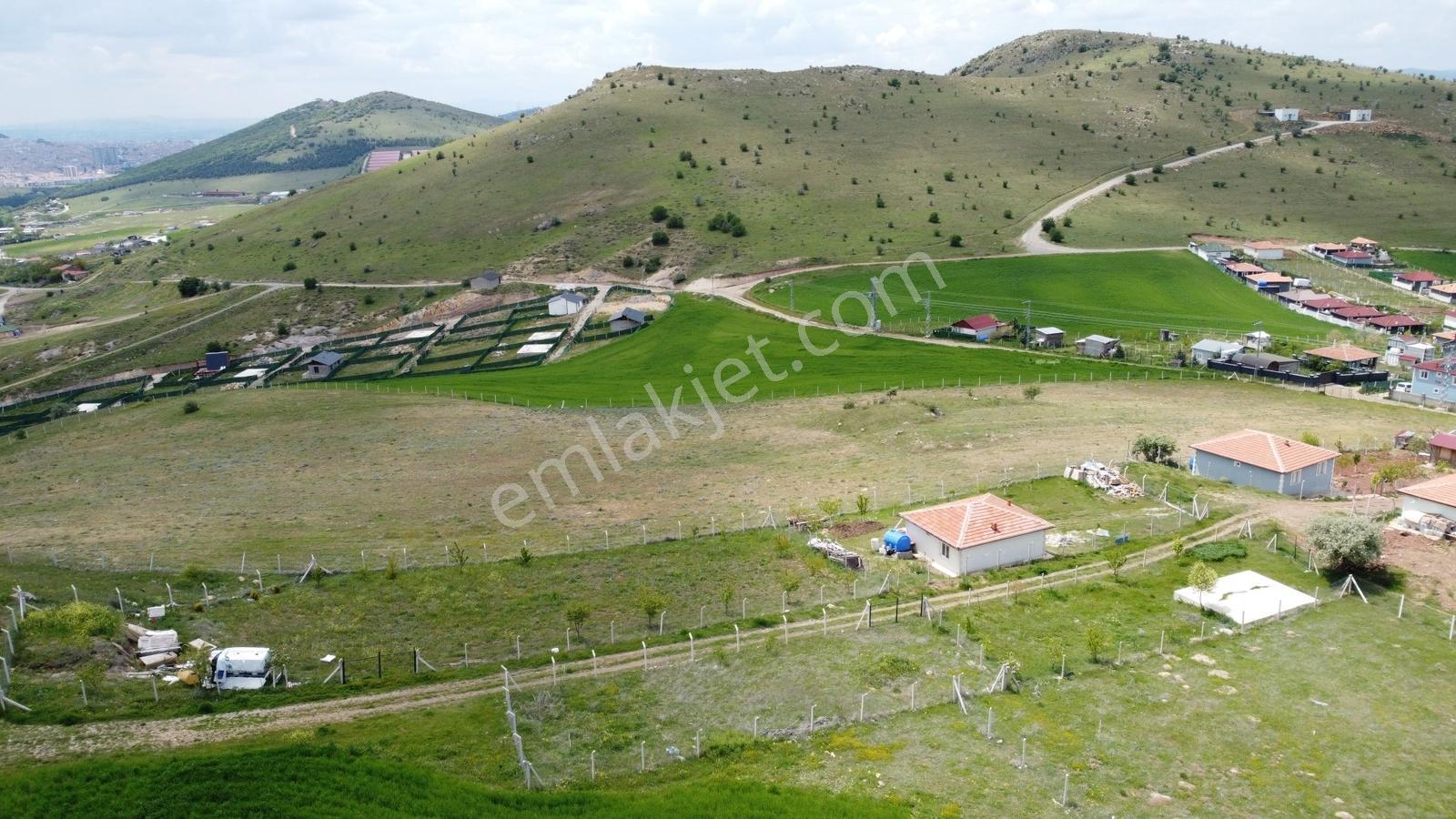 **-tatlar Da Manzaraya Hakim Olmak İsteyene Full Manzaralı-*-* - Görsel 4