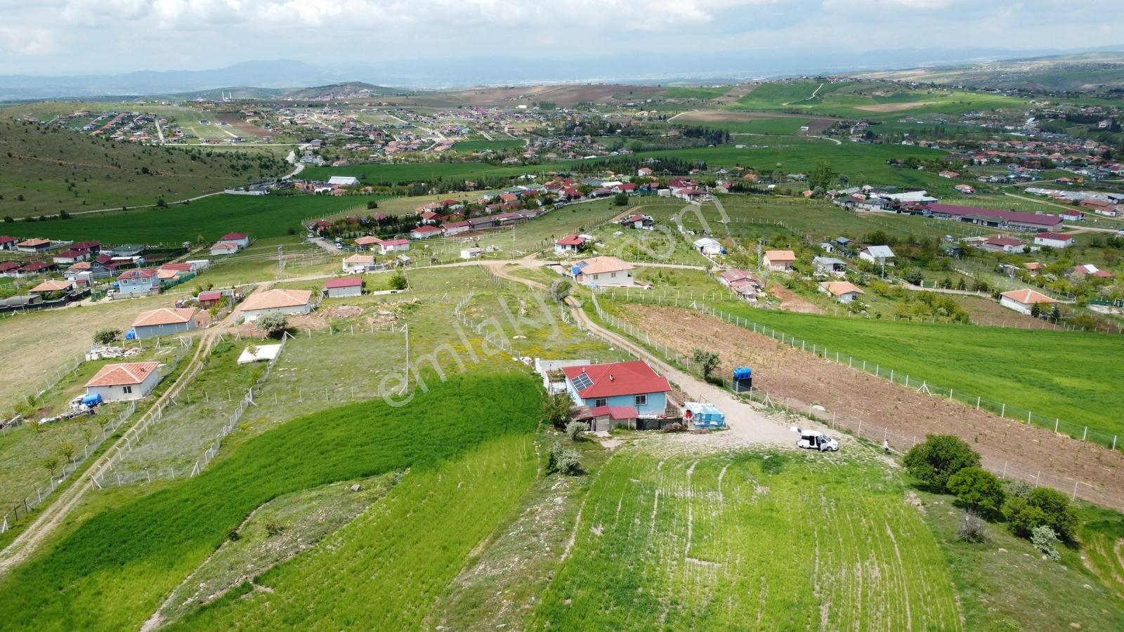 **-tatlar Da Manzaraya Hakim Olmak İsteyene Full Manzaralı-*-* - Görsel 35
