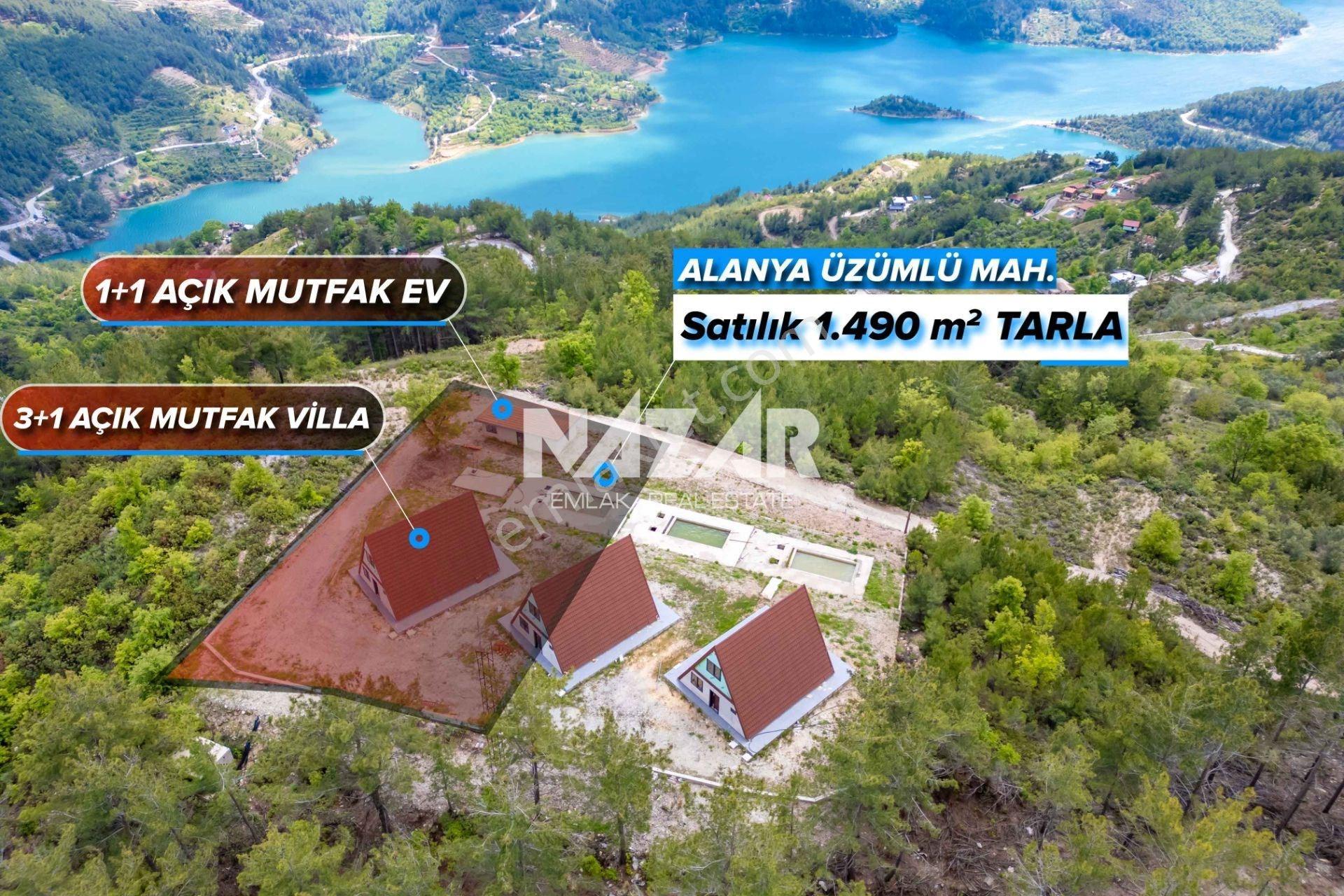 Alanya Üzümlü 1.490 M² Satılık Tarla 3+1 Havuzlu Villa / 1+1 Ev - Görsel 2