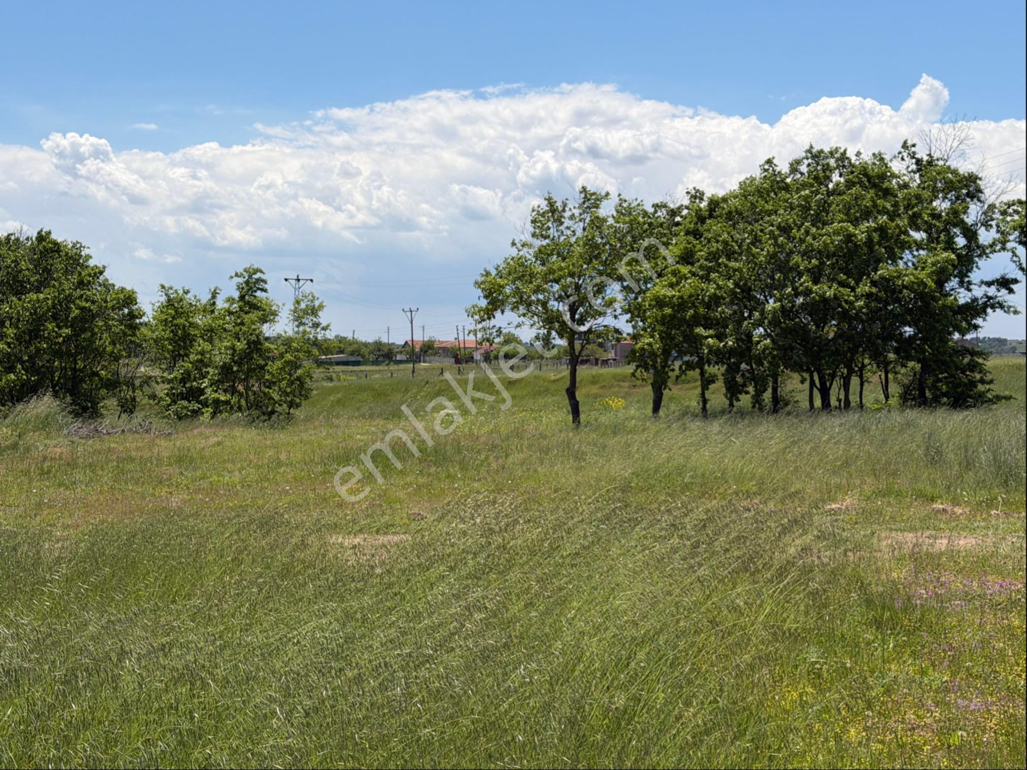 Saray Büyükyoncalı İmarlı İfrazlı Acil Satılık 257m2 Arsa - Görsel 4