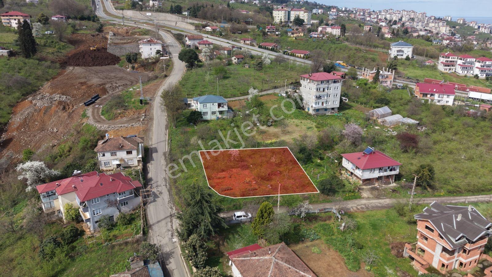 Yalıncak'ta Satılık 600 M² Arsa (terkleri Yapılmış) - Görsel 9