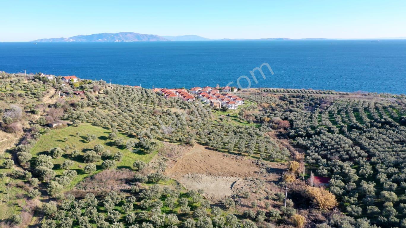 Bulut Yatırımdan 318 M² % 25 İmarlı Deniz Manzaralı Arsalar - Görsel 11