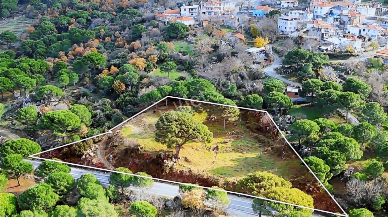 Çokkorkmazdan Kozak Aşağıbey Köyünde 2 Parsel