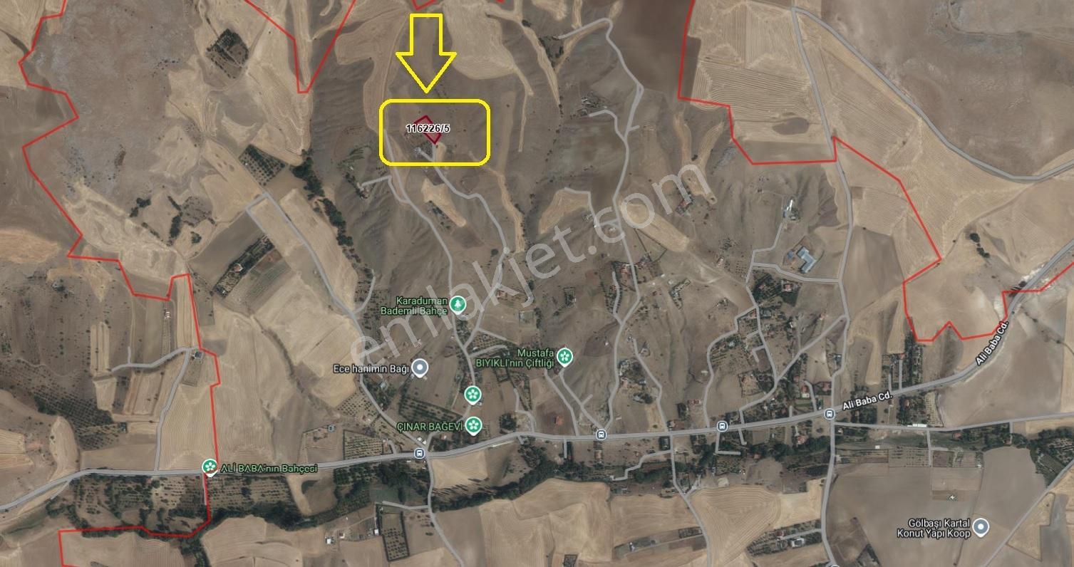 Velihimmetli Bağlar Da Tek Ve Kök Tapu 2051m2 Karadeniz Emlaktan - Görsel 6