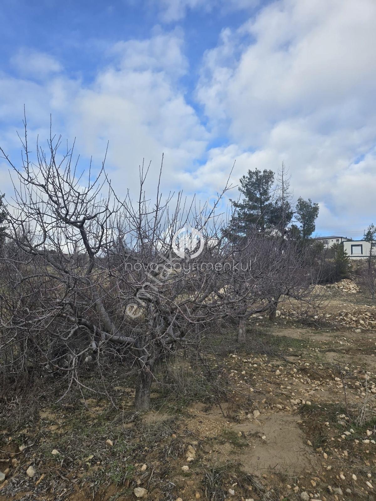 **nova** Gülnar Yarmasuda Satılık 4696 M2 Arsa - Görsel 6