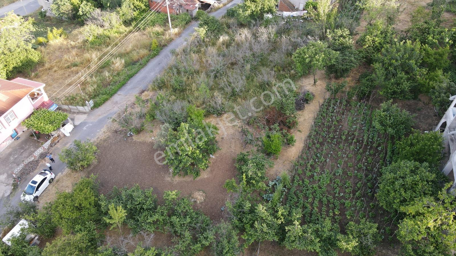 Kocaali Karşı Mahallede Satılık 332.33 M² Yatırımlık Arsa - Görsel 2