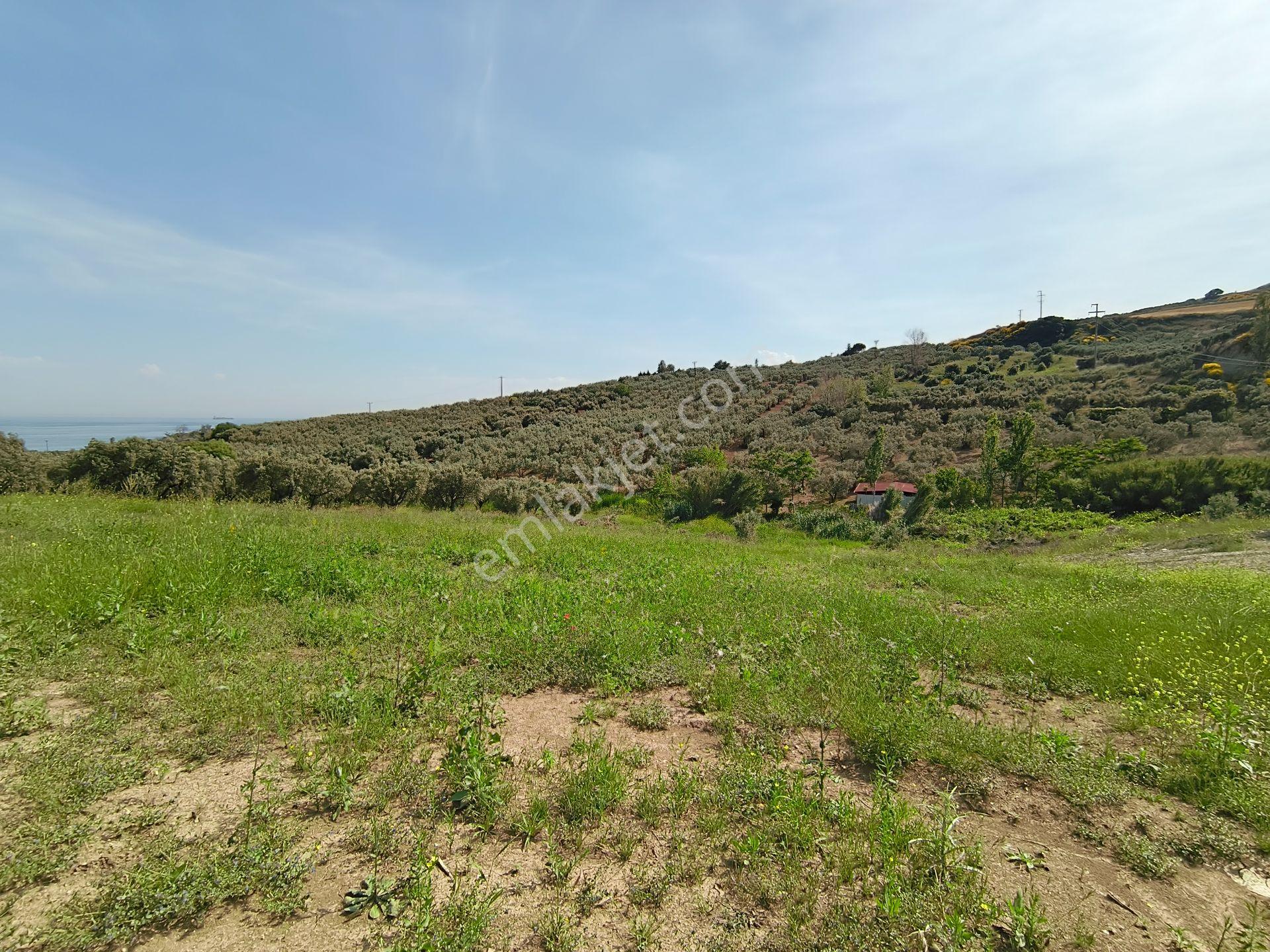 Bulut Yatırımdan 3100 M² % 25 İmarlı Deniz Manzaralı Arsalar - Görsel 9