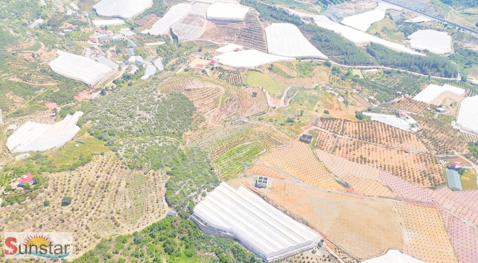 İmamlıda D400e 900 M Zeytin Avokado Lime Bahçesi - Görsel 7