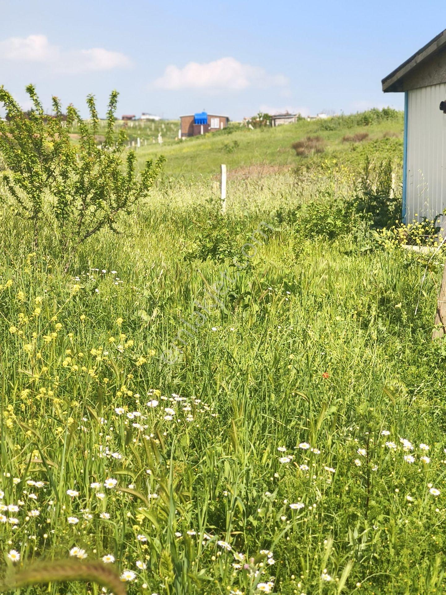 Silivri Balabanda Satılık İmarın Dibinde 496 M2 Fırsat Arsa - Görsel 11