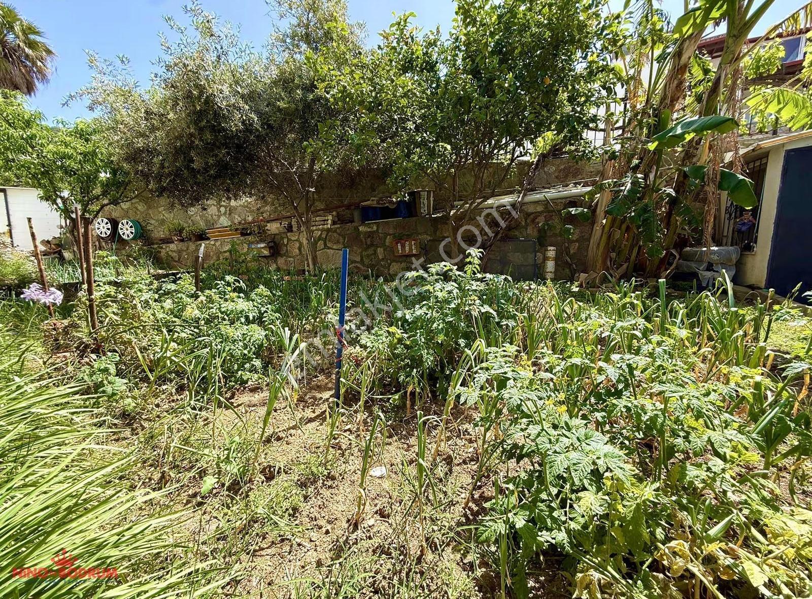 Bodrum Koyunbaba'da Doğayla İç İçe Tam Müstakil Villa - Görsel 8