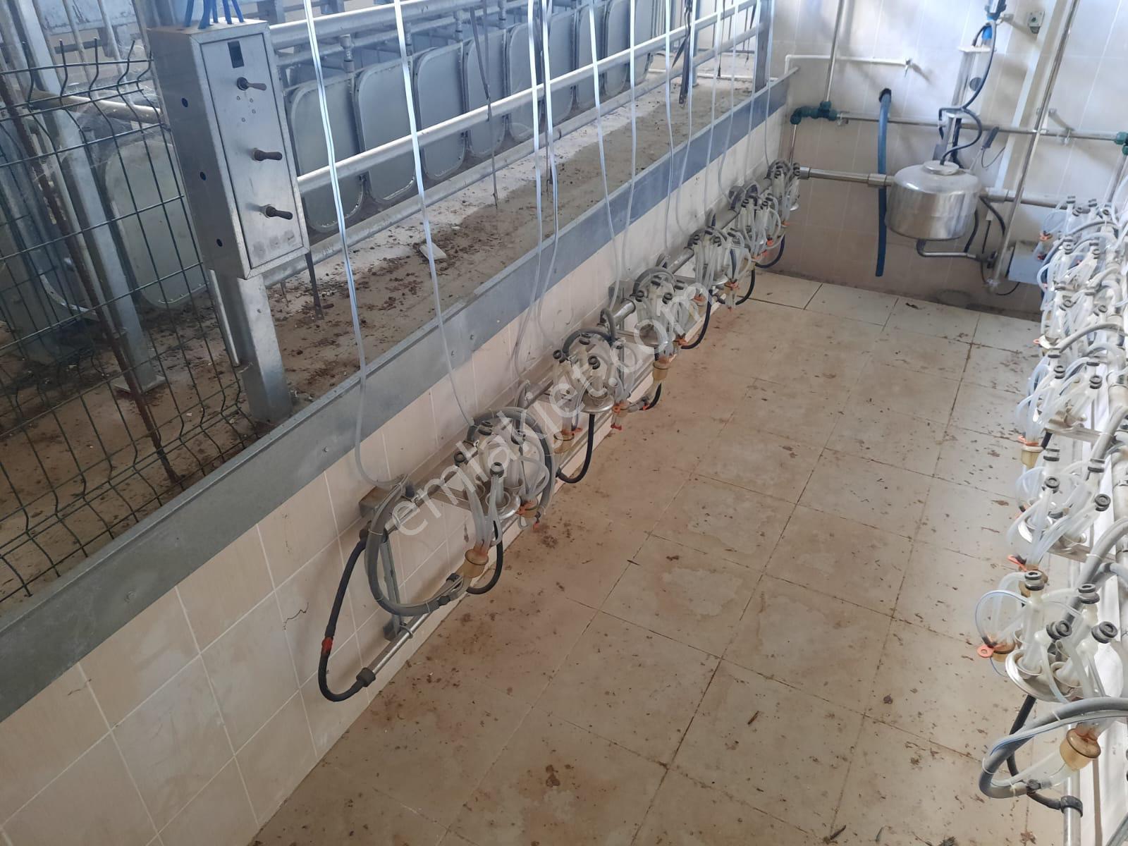 Adalet Gold Group Emlak'tan Köklüce Köyü D100 Karayolu Üzerinde Satılık 13.207 M Kare İşletme - Görsel 15