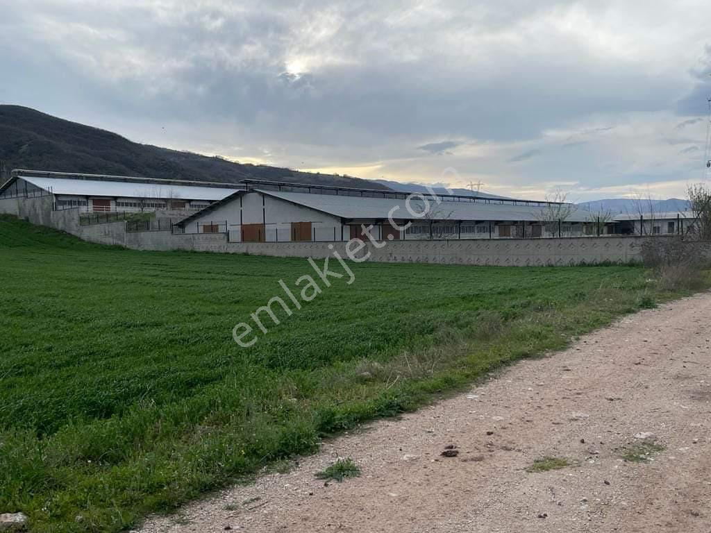 Adalet Gold Group Emlak'tan Köklüce Köyü D100 Karayolu Üzerinde Satılık 13.207 M Kare İşletme - Görsel 18