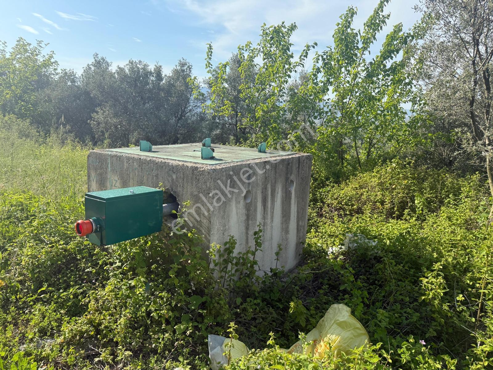 Akharem İznik Gölü Satılık Araç Yolu Olan 4142m2 Tarla Profasor - Görsel 4