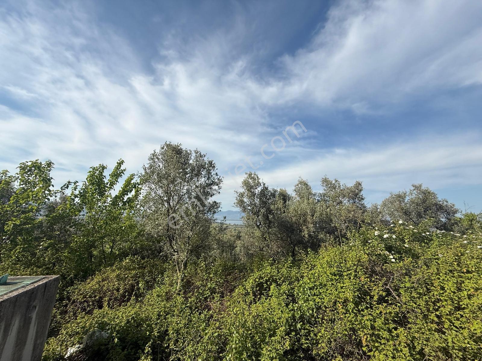 Akharem İznik Gölü Satılık Araç Yolu Olan 4142m2 Tarla Profasor - Görsel 18