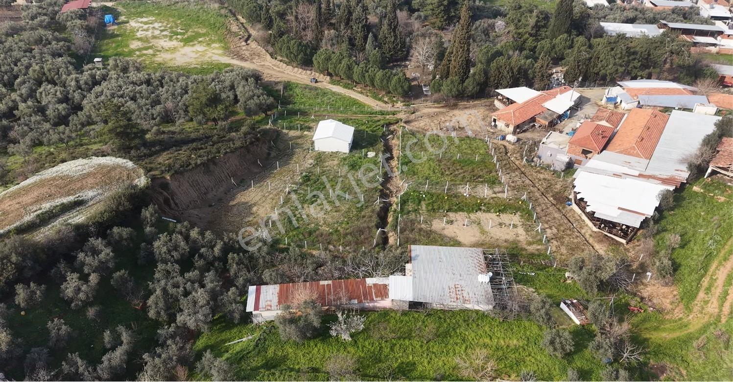 Kemalpaşa Sinancılar Da Satılık 313 M² Köyiçi Tapulu Bahçe - Görsel 7