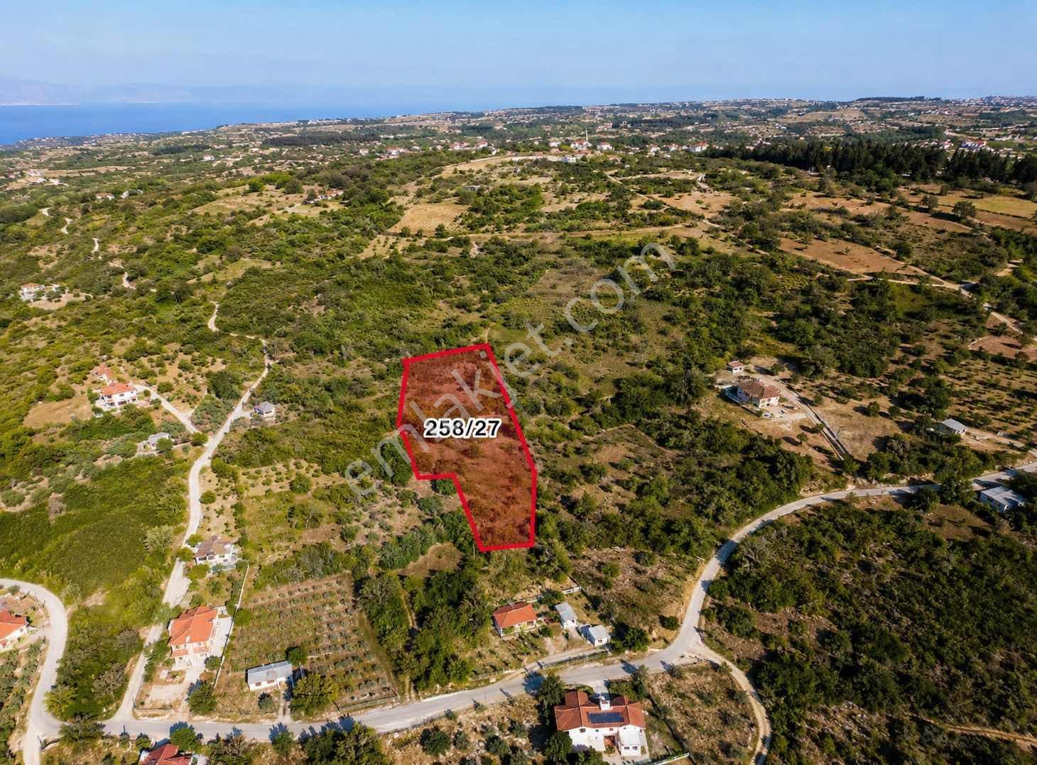 Şarköy/kirazlı Mah Satılık Tapulu Bağ Arsası
