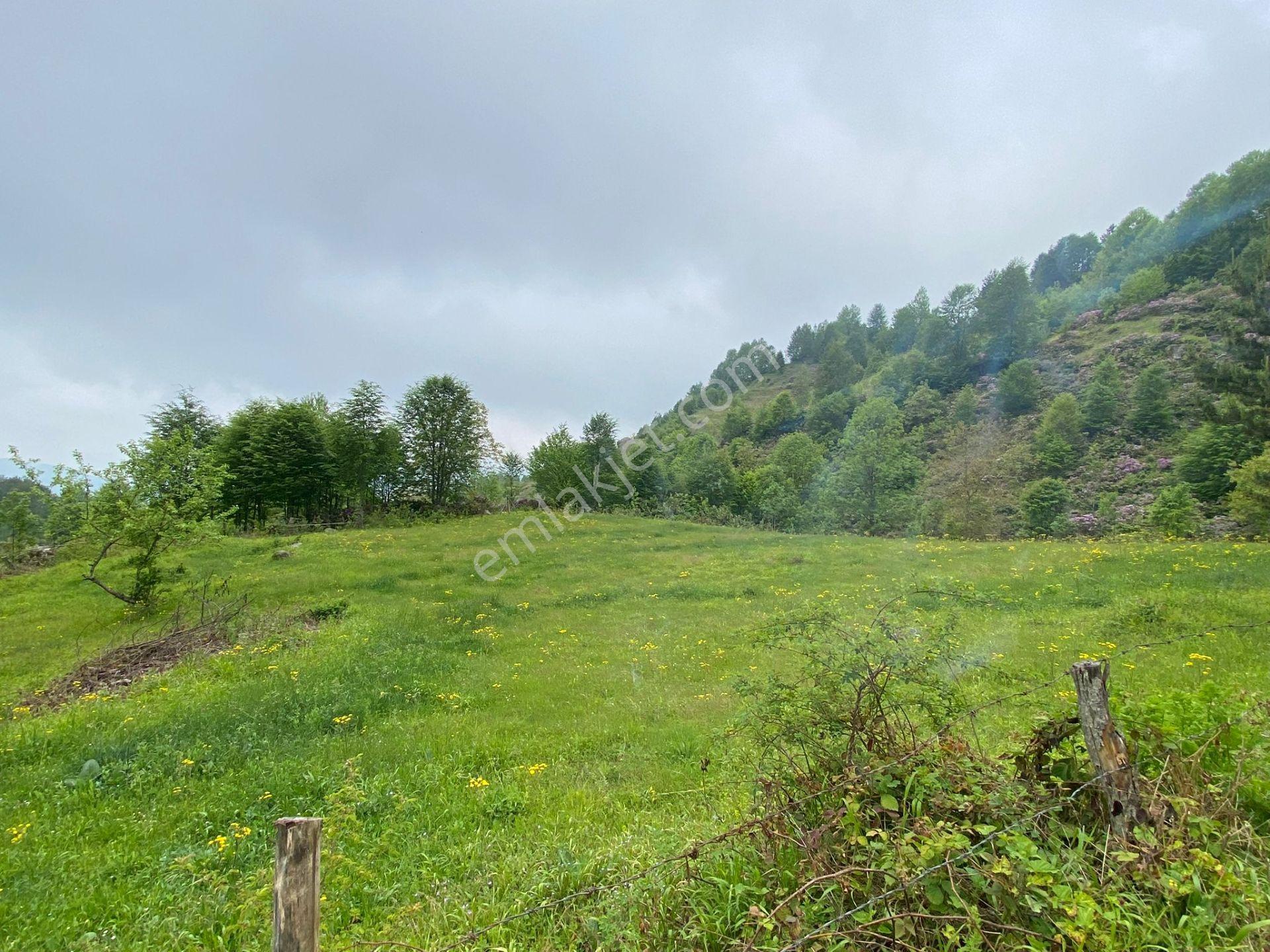 Fırsat ! Satılık 3.500 M2 Tarla Sakarya / Hendek - Görsel 8