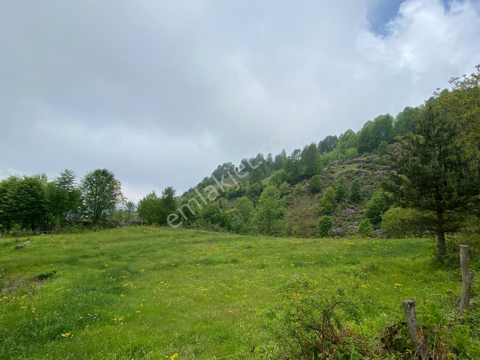 Fırsat ! Satılık 3.500 M2 Tarla Sakarya / Hendek - Görsel 4