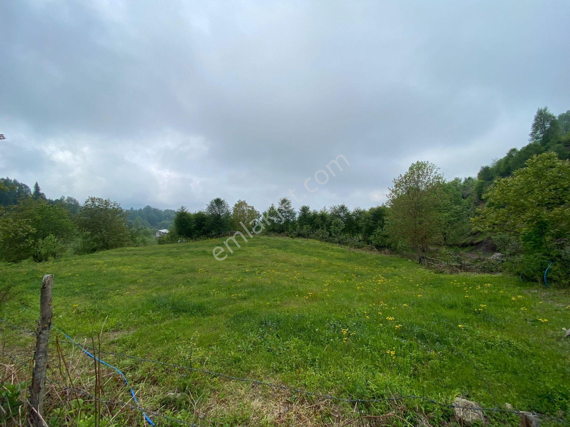 Fırsat ! Satılık 3.500 M2 Tarla Sakarya / Hendek - Görsel 9