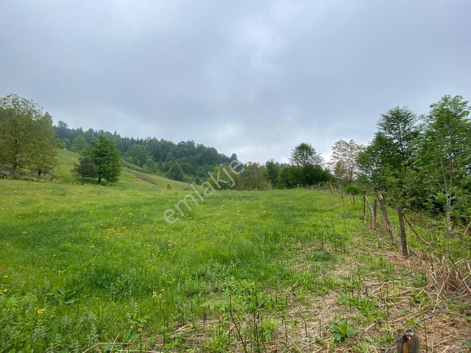 Fırsat ! Satılık 3.500 M2 Tarla Sakarya / Hendek - Görsel 21