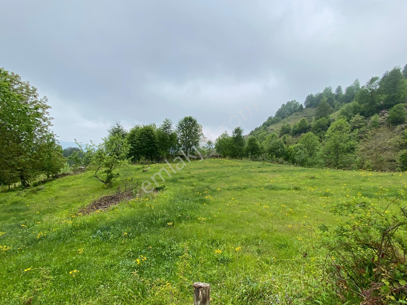Fırsat ! Satılık 3.500 M2 Tarla Sakarya / Hendek - Görsel 18