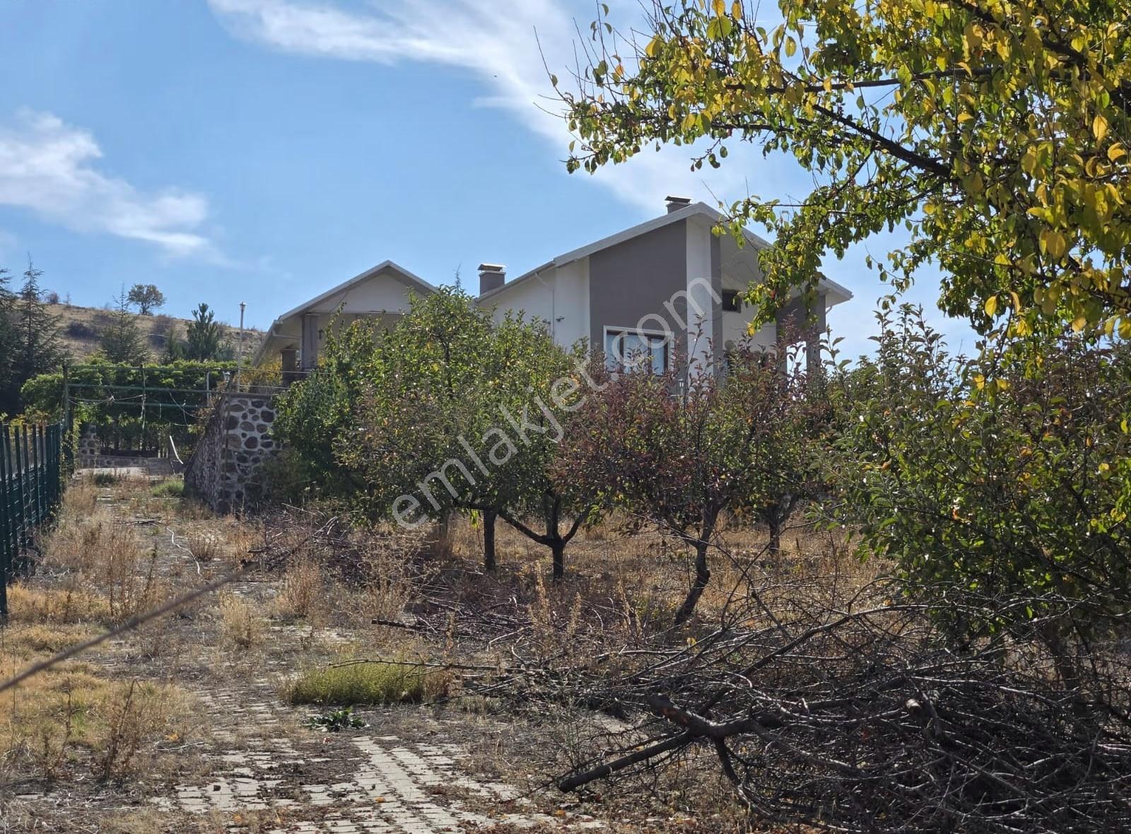 Ayaş'ta Eşsiz Yaşam: 8.981 M2 İçinde Havuzlu, 6+2 Satılık Villa - Görsel 17