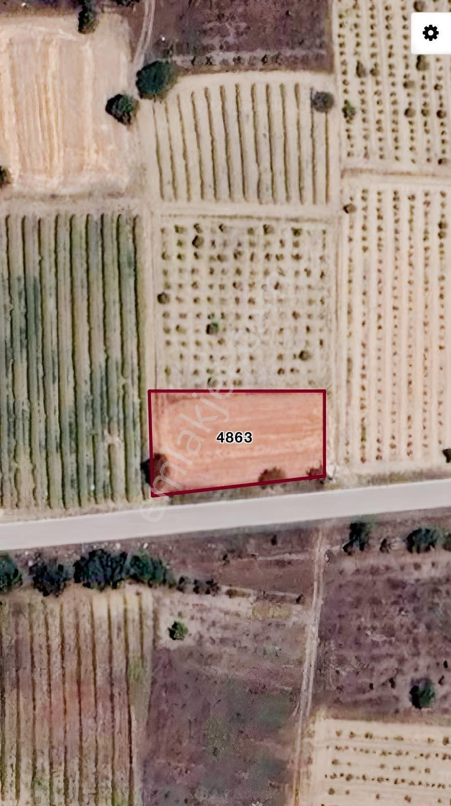 Senir'de Göl Manzaralı 720m2 Kurulu Düzen Hobi Bahçesi - Görsel 10