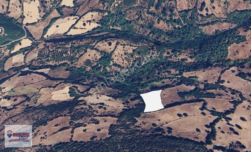 Remax Şehirden Balıkesir Kepsutta 19,821 M2 Satılık Tarla
