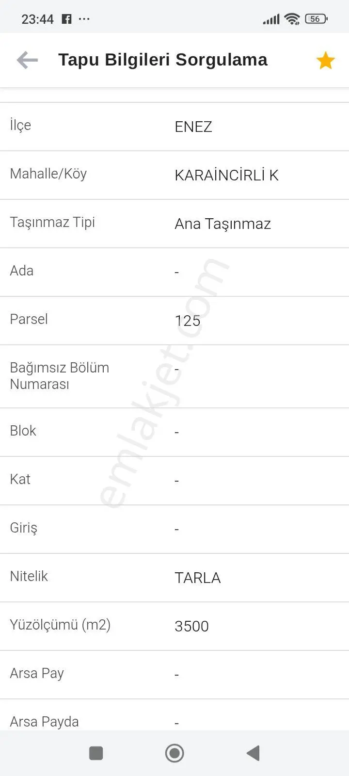 Müstakil Tapulu
