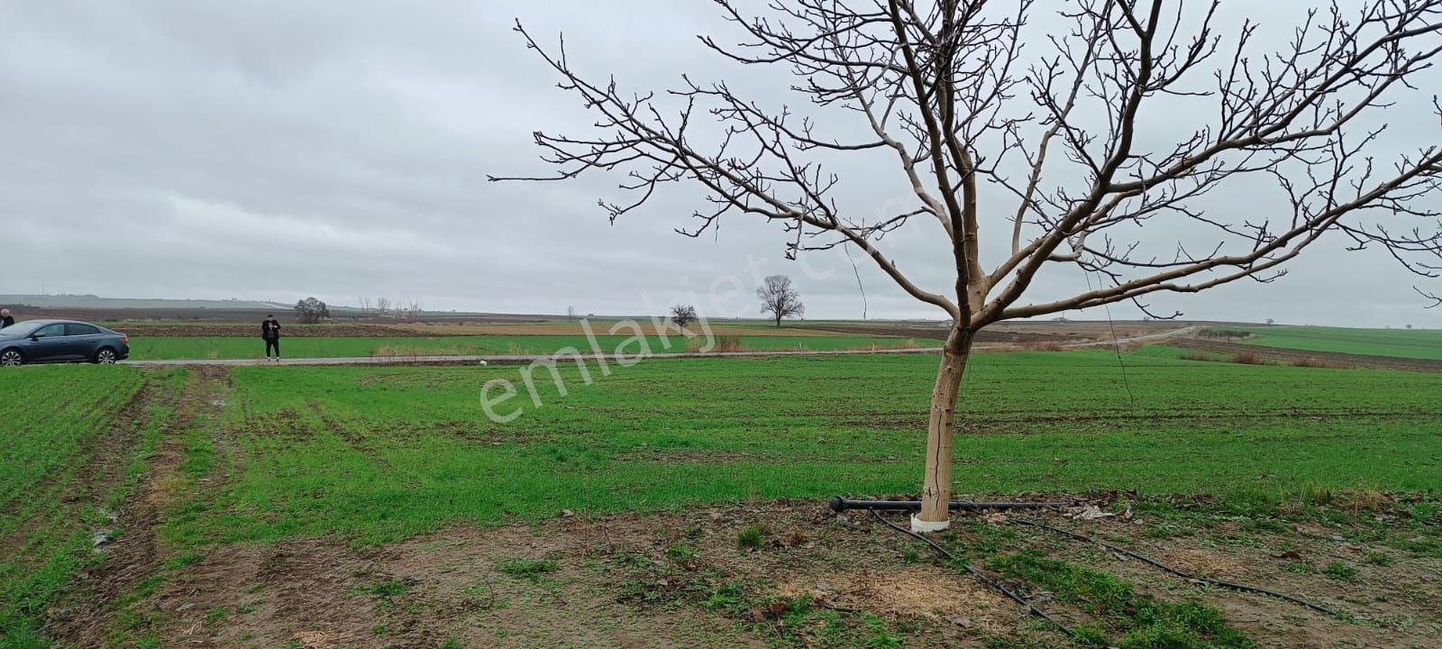 Edirne Kozköy’de Yola Cepheli 4.800 M² Satılık Tarla - Görsel 16