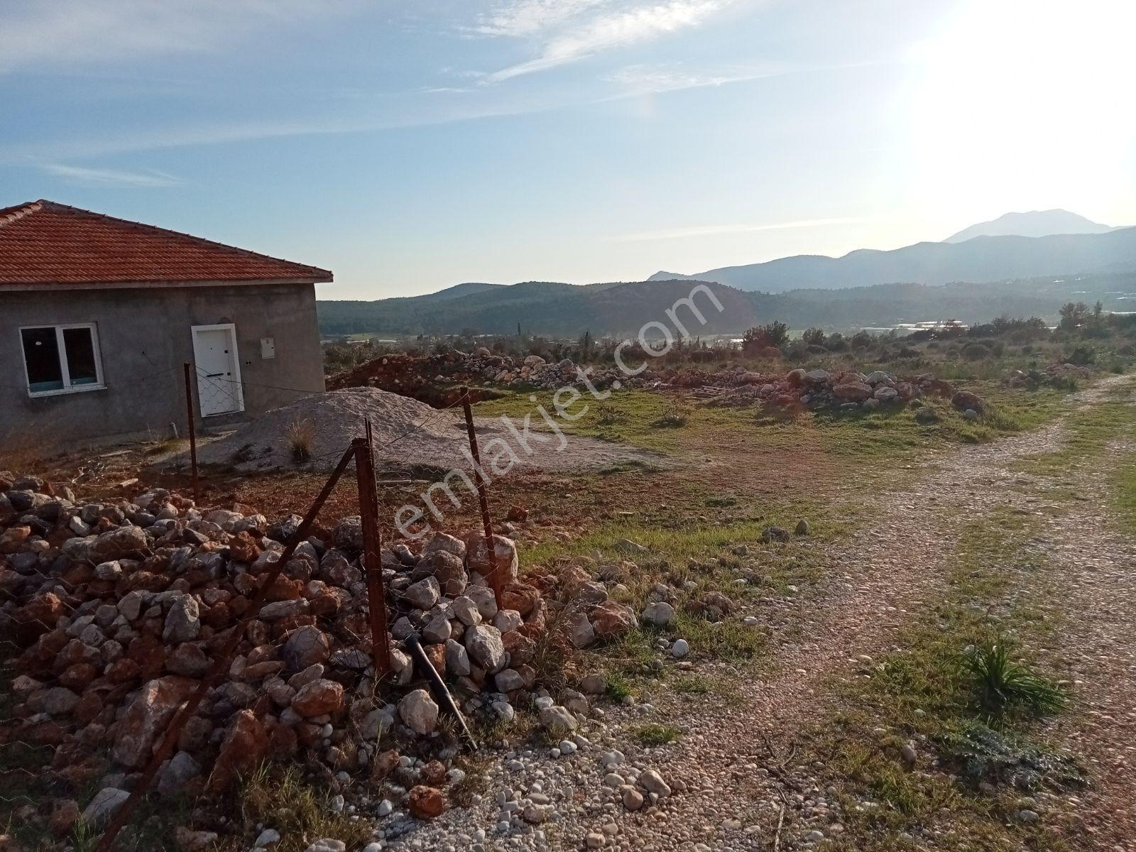 Falcon Dan Palamut Da Fırsat 4722m² Tarla - Görsel 11