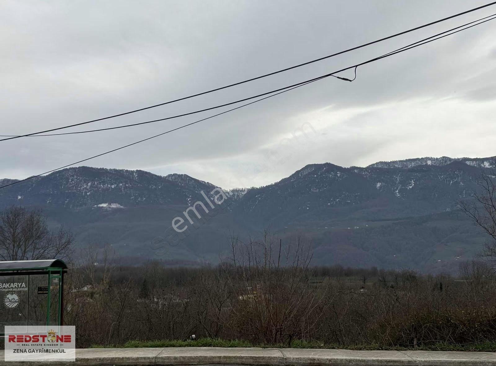 Sakarya/hendek - Sarıyer Köyünde 12221 M² Fındık Bahçesi - Görsel 3