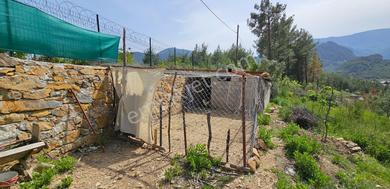 İdamax'tan Akseki Murtiçi'nde Satılık 6.402 M² Tam Müstakil Çiftlik Ve Ev! - Görsel 28