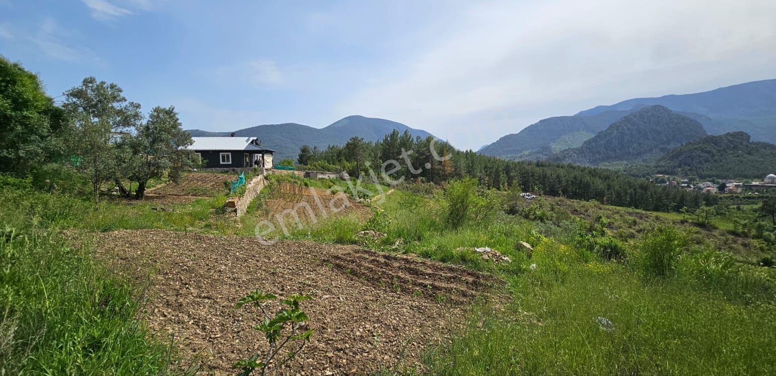 İdamax'tan Akseki Murtiçi'nde Satılık 6.402 M² Tam Müstakil Çiftlik Ve Ev! - Görsel 34