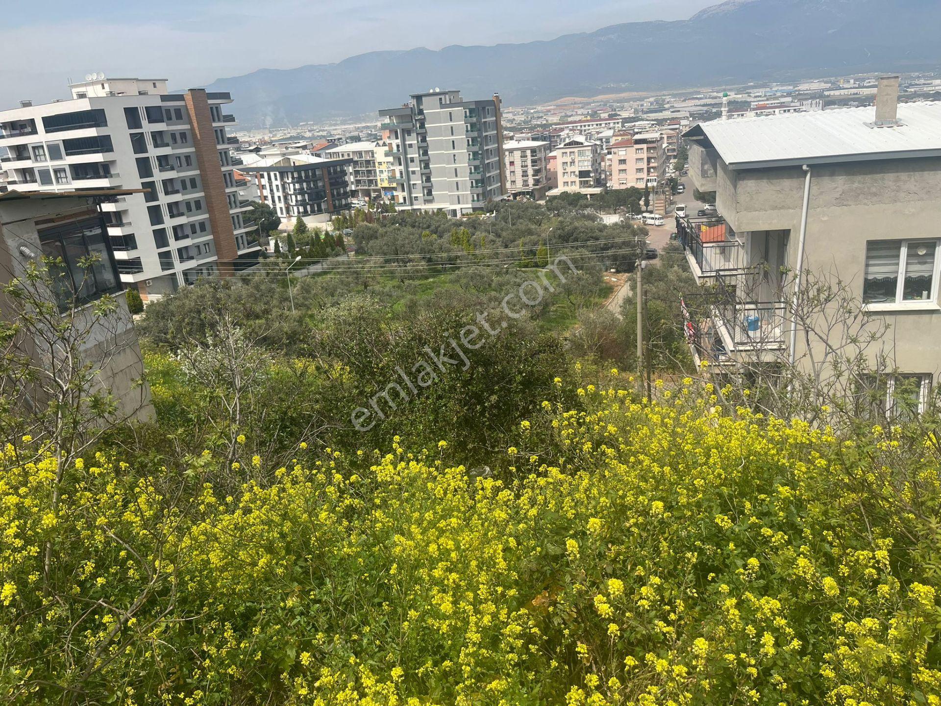 Yatırımlık! İzmir Kemalpaşa’da Manzaralı 188 M² Konut Arsası – Kot Avantajlı - Görsel 11