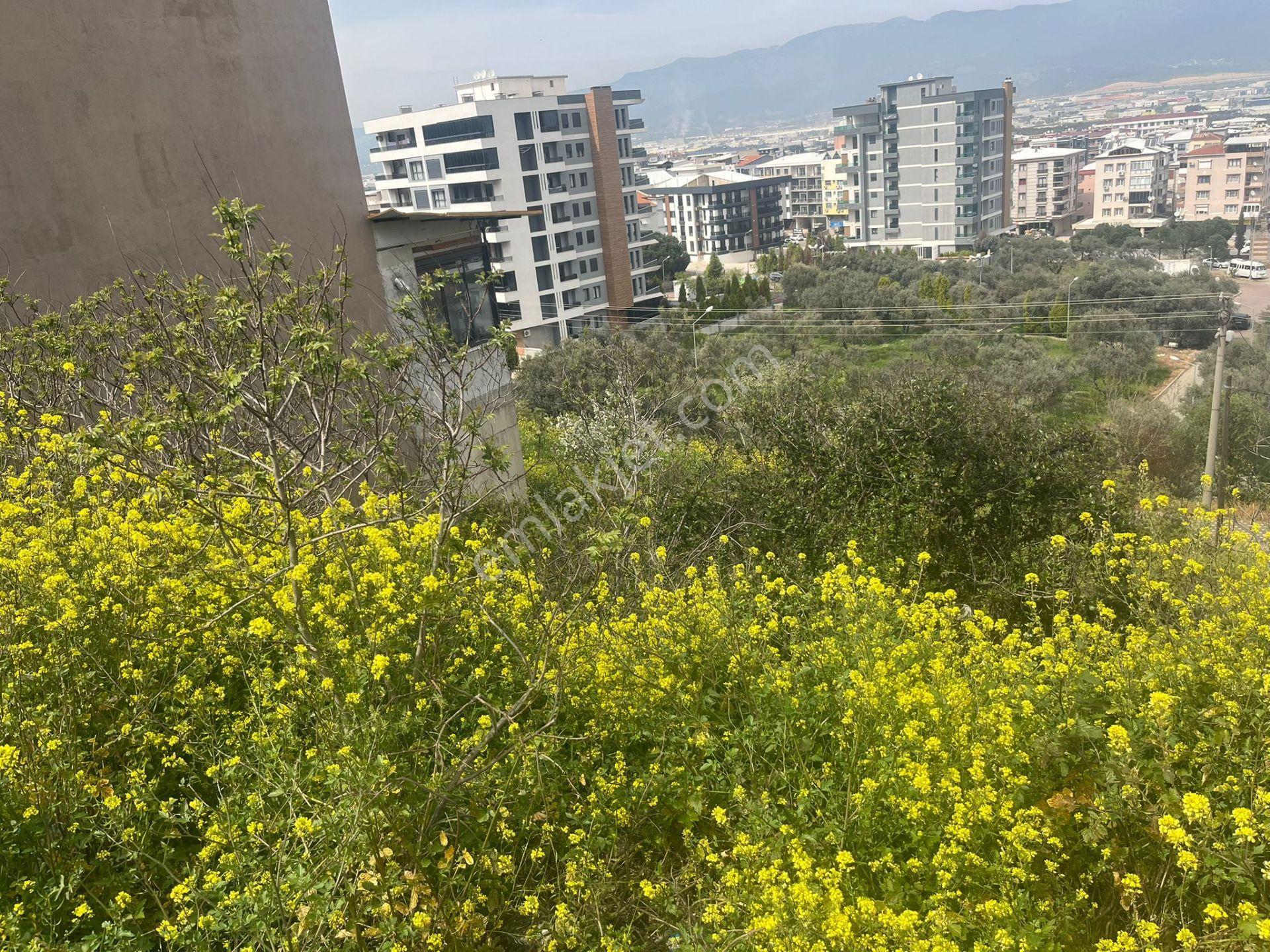 Yatırımlık! İzmir Kemalpaşa’da Manzaralı 188 M² Konut Arsası – Kot Avantajlı - Görsel 15
